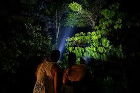 Night Walk in La Fortuna | Tropical Forest Wildlife